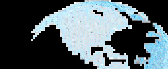 background globe image