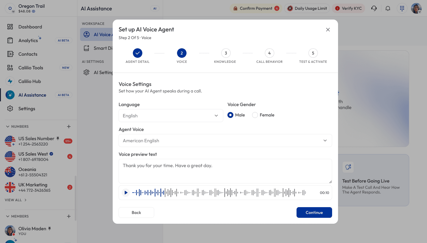 AI assistance call preview