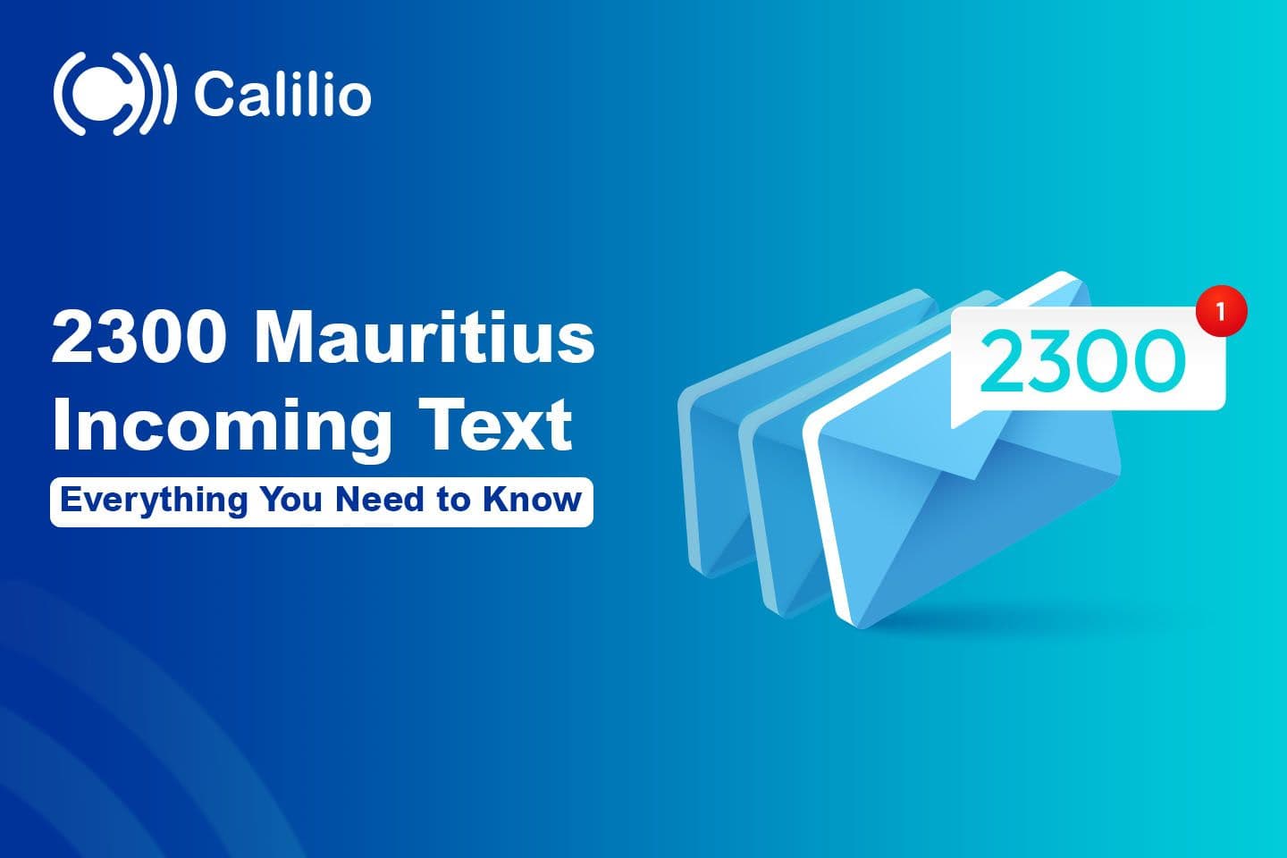 2300 Mauritius Incoming Text: Everything You Need to Know