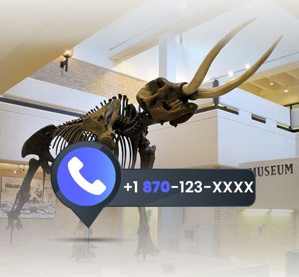 Alabama Phone Numbers LA Area Codes 251, 205, 659, 256, 334, 938