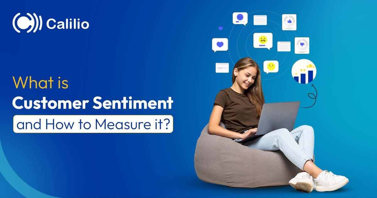 What is costumer sentiment and how to measure it