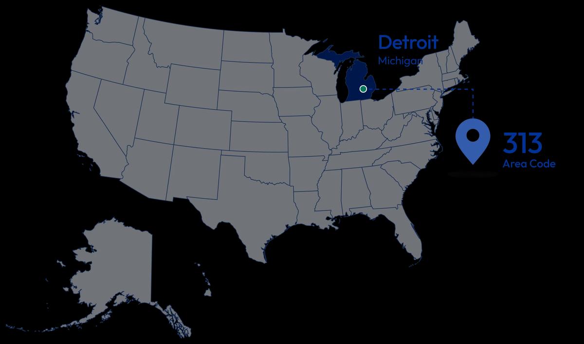 313 area code location map Detroit Michigan USA