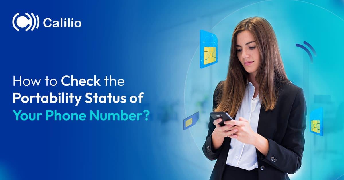 How to Check the Portability Status of Your Phone Number?