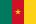 Cameroon flag