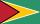 Guyana flag
