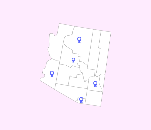 Get flexibility with Arizona area code number