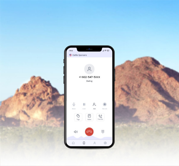 Phoenix area code