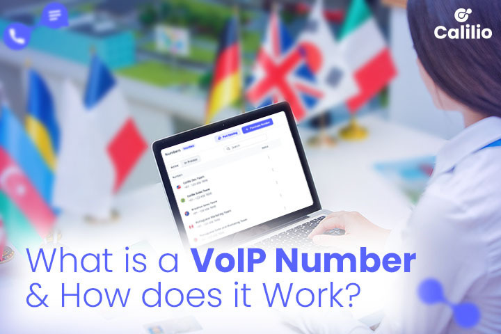 what-is-VoIP-number