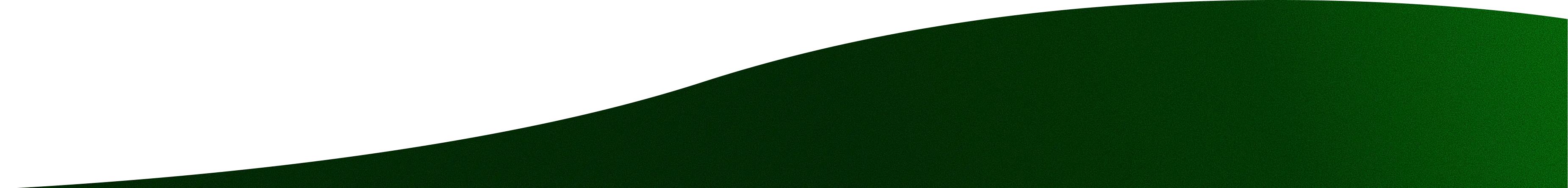 footer graphic bottom